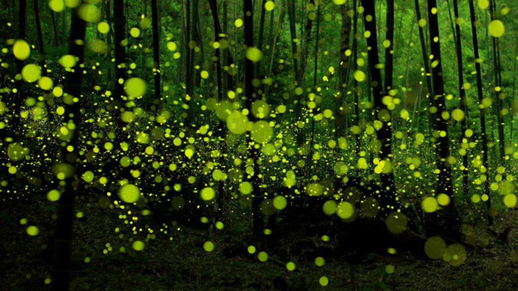 10 paisajes espectaculares para no perderse