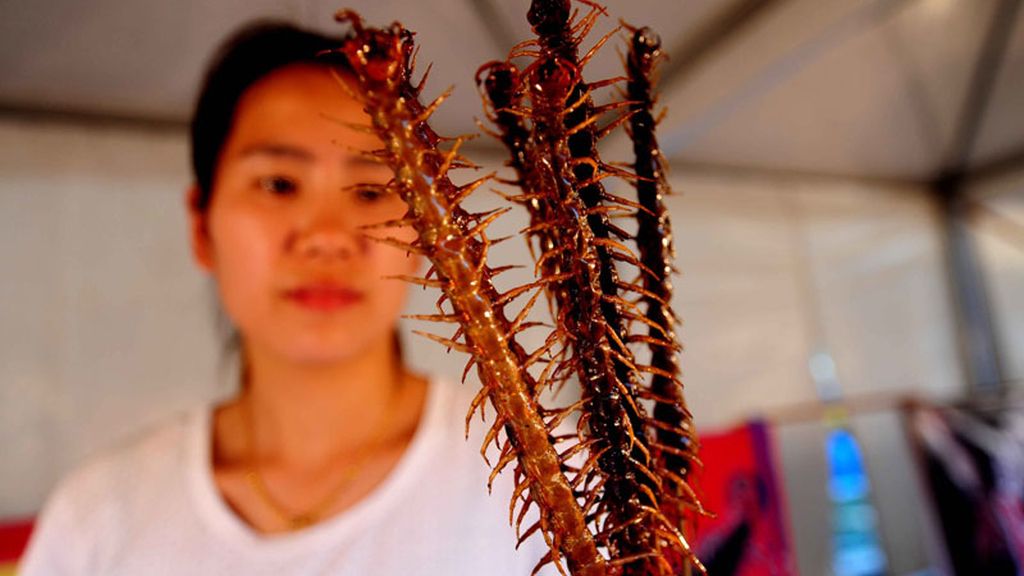 Festival de comida a base de insectos en China