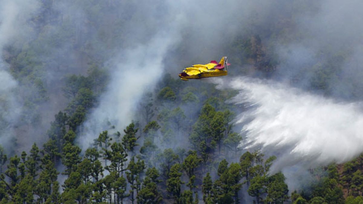 Prisión provisional y sin fianza para el detenido por el incendio de La Palma