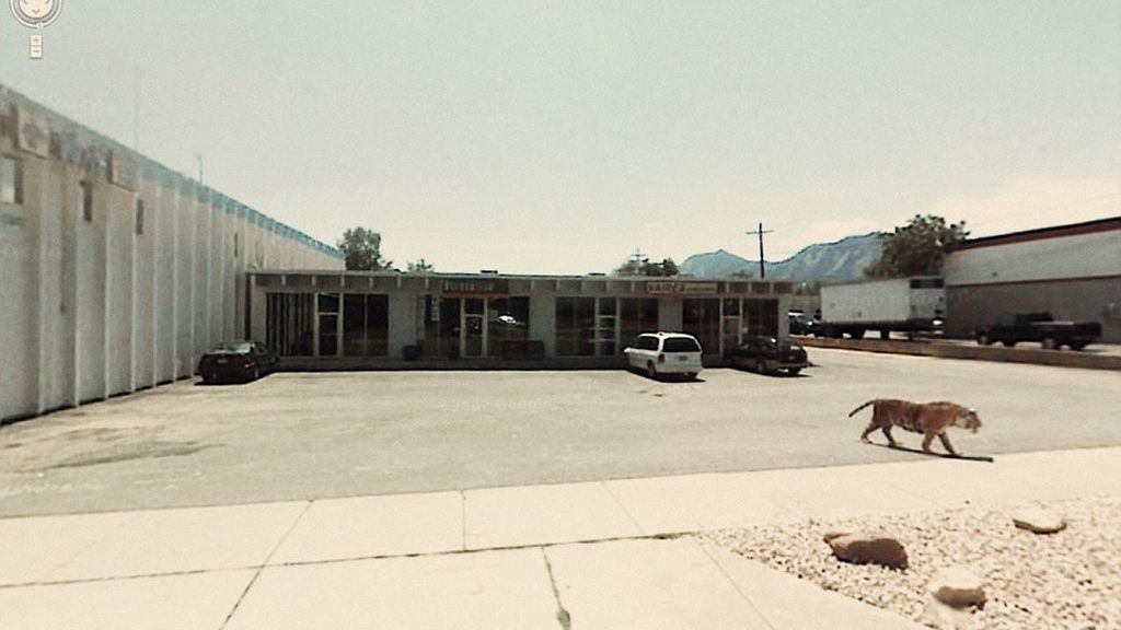 Un tigre paseando por un aparcamiento