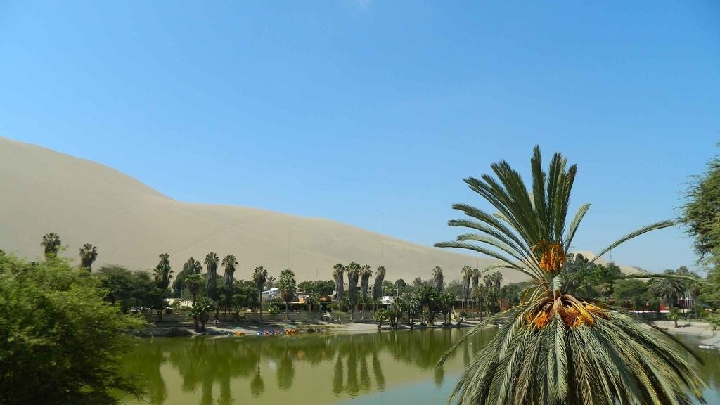Un oasis en el desierto peruano