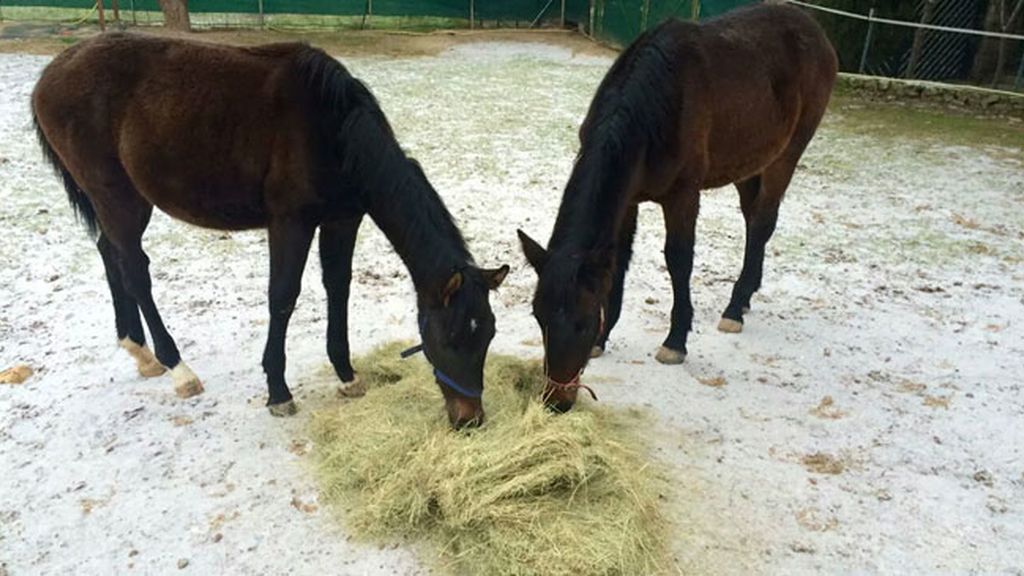 Villanueva de la Cañada