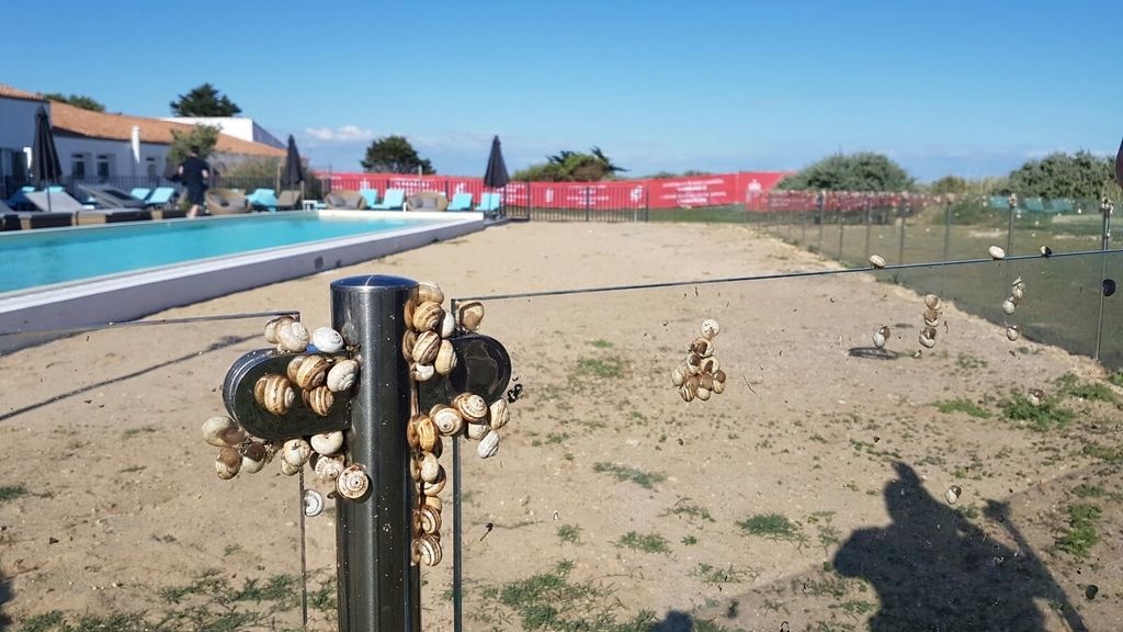 Mucho relax, muchos caracoles y algunas cervezas (españolas, eso sí)