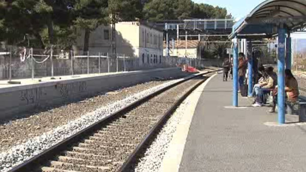 Muere un joven atropellado por un tren cuando perseguía a sus perros