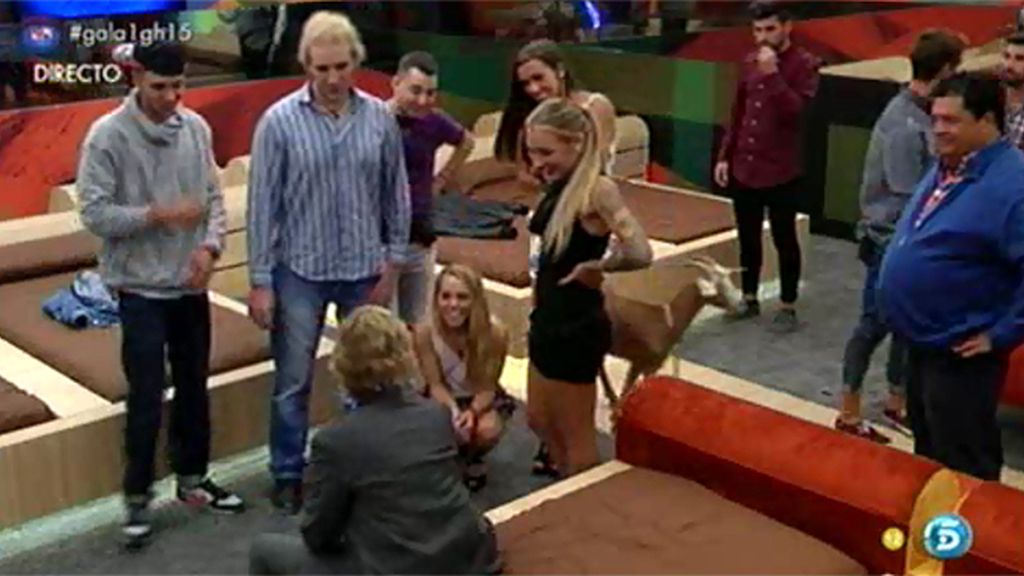 Mercedes entra acompañada de la gallina Falacia