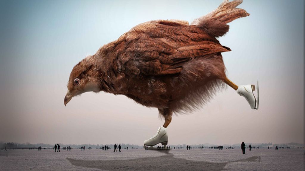 Maravillas del reino animal