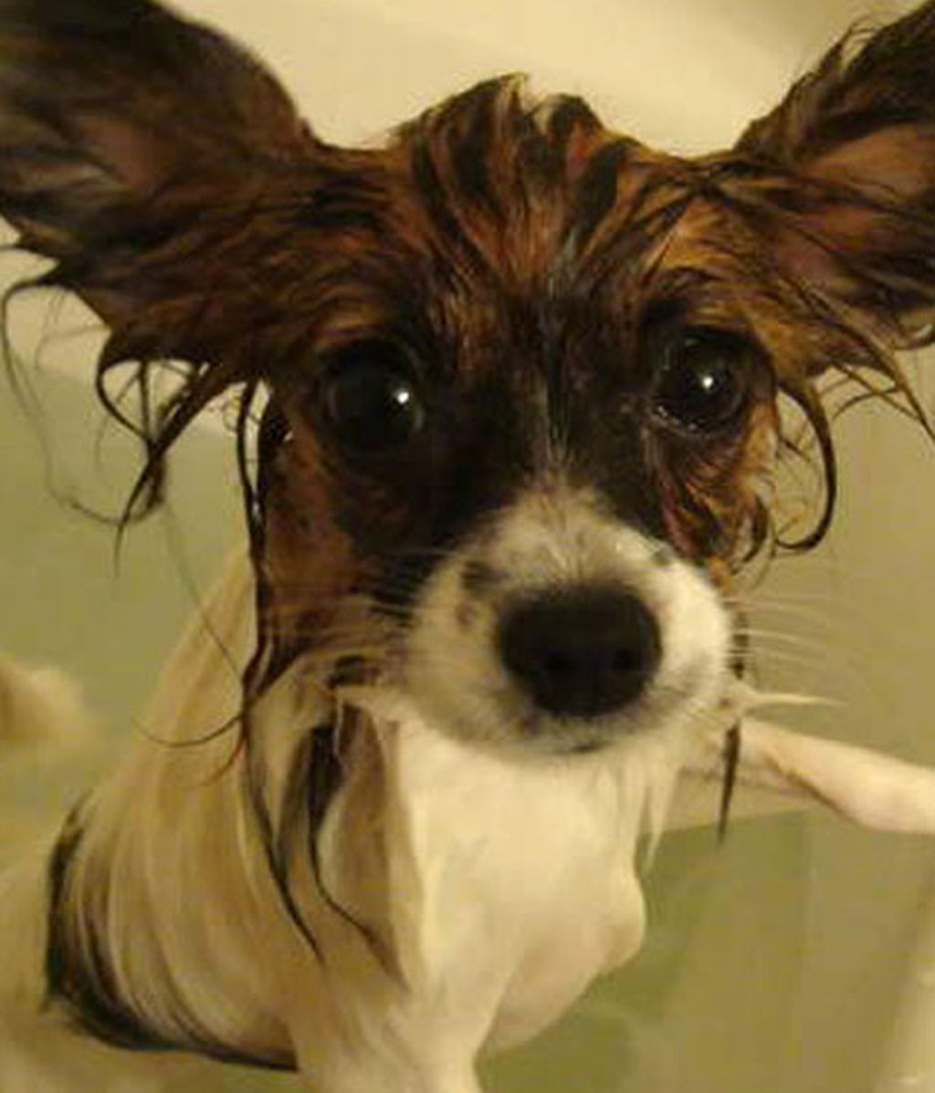 ¡Odio bañarme!