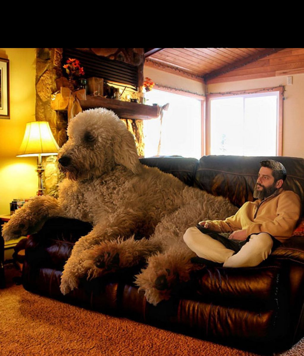 El fotógrafo venció la depresión con su mascota