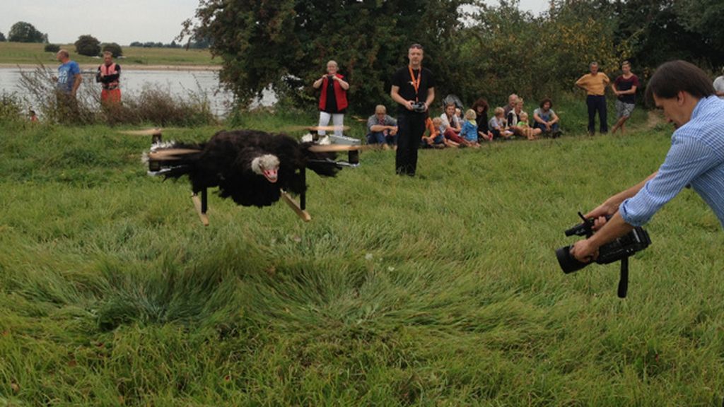 La 'animalista' afición que une taxidermia y drones