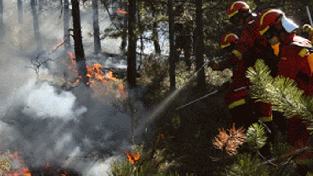 Incendios forestales