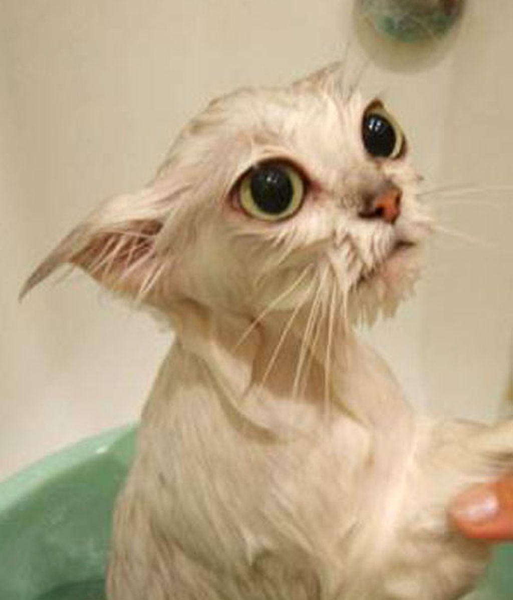 ¡Odio bañarme!