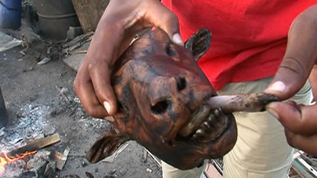 En Ciudad del Cabo encontrarás situaciones que te sorprendan
