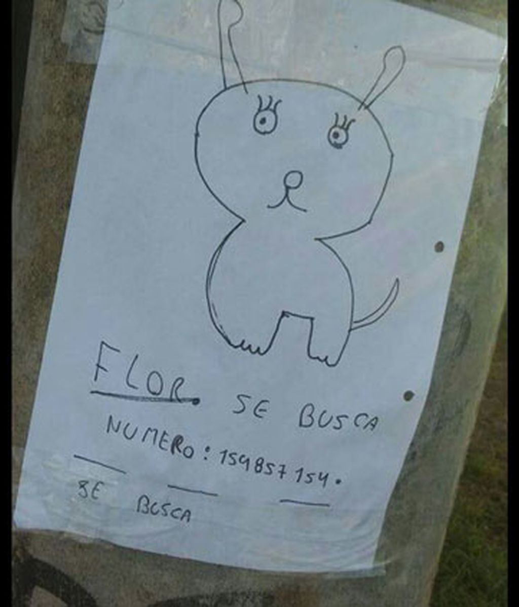 Buscan a su perrita