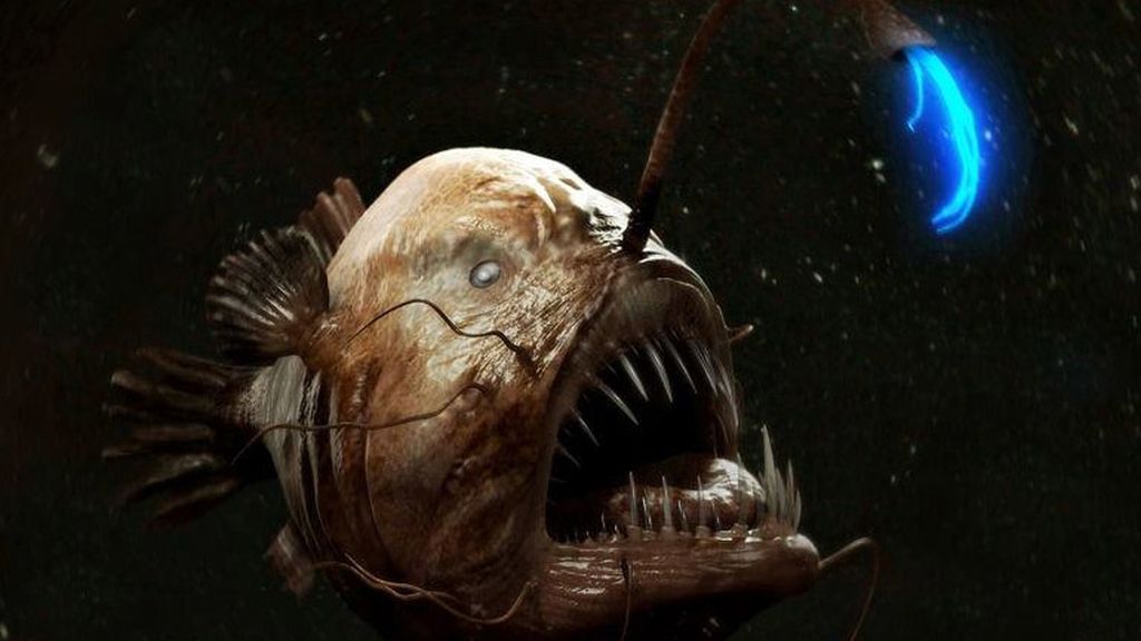 Las criaturas más terroríficas del océano