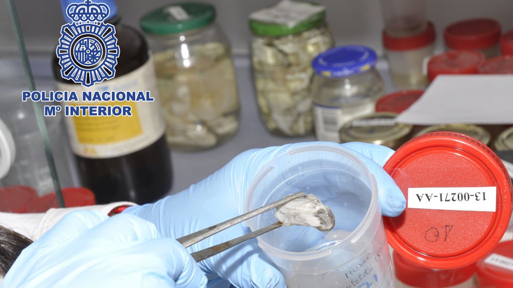 La Policía Científica ha identificado 25 cadáveres en condiciones extremas en 2013