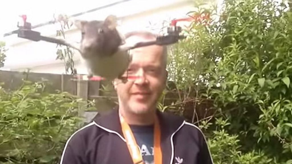 La 'animalista' afición que une taxidermia y drones