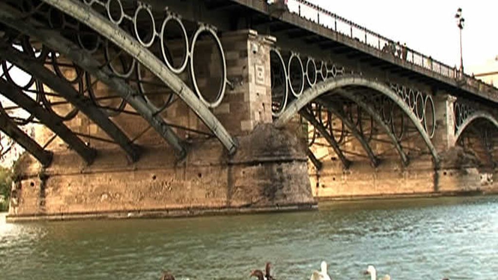 Los patos del Guadalquivir