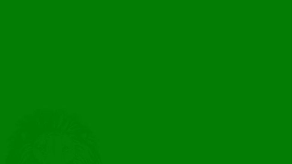 Unas imágenes de color con unas figuras escondidas