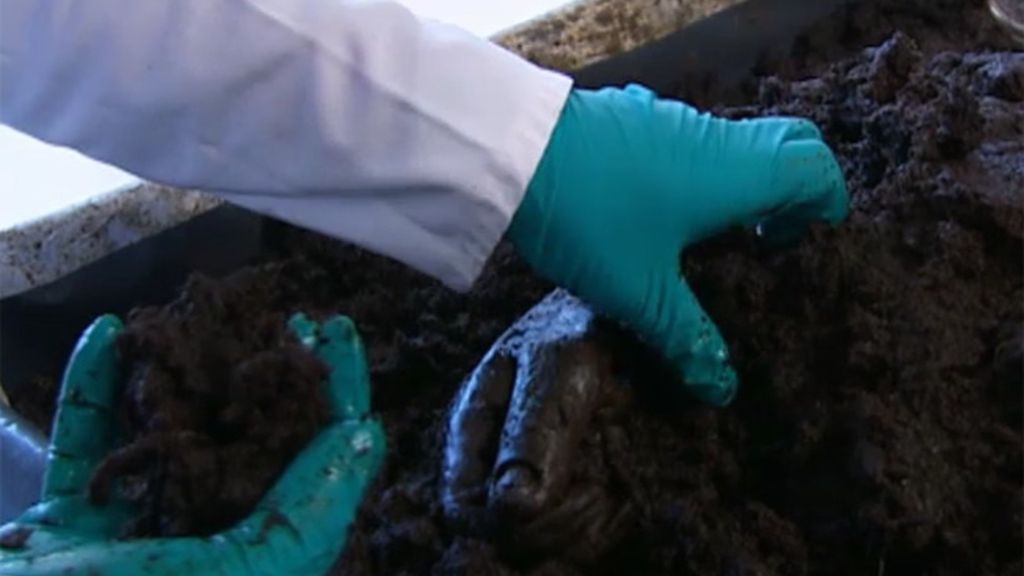 Las mejores imágenes del programa