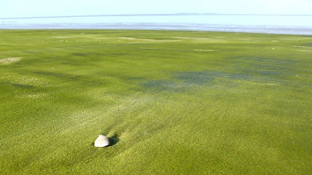 Kourou, Guayana Francesa