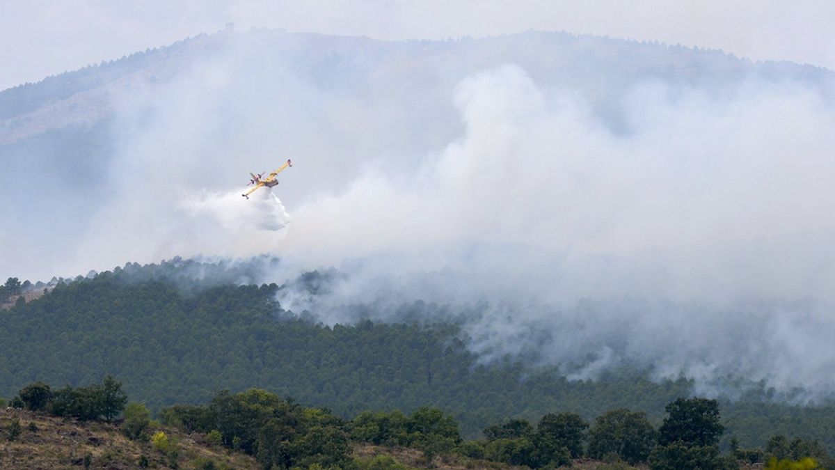 El primer medio aéreo regresa al fuego de Cogolludo en Guadalajara