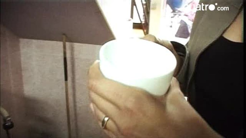 ¿Sabemos lo que comemos?: Las vacas frisonas