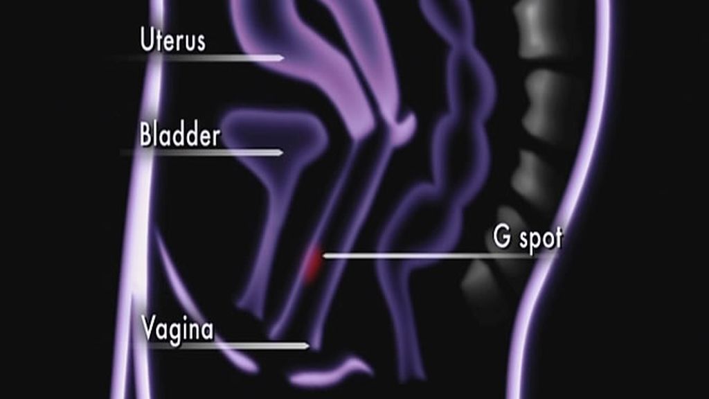 Ubicación exacta del punto G femenino, una de las partes donde se concentra la excitación sexual de las mujeres