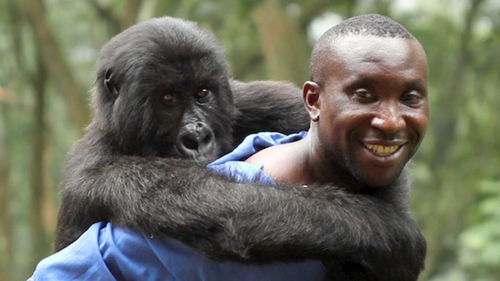 Virunga