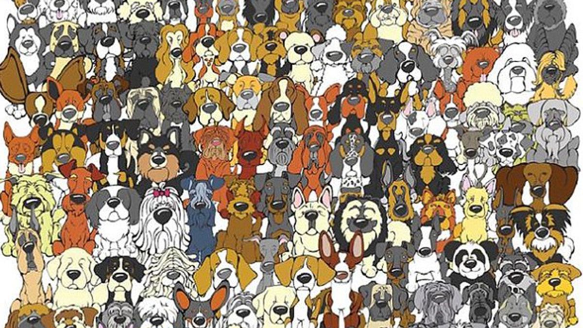 ¿Encuentras al panda entre todos estos perros?