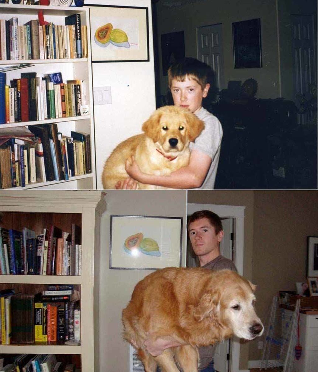 Dueños y mascotas... años después