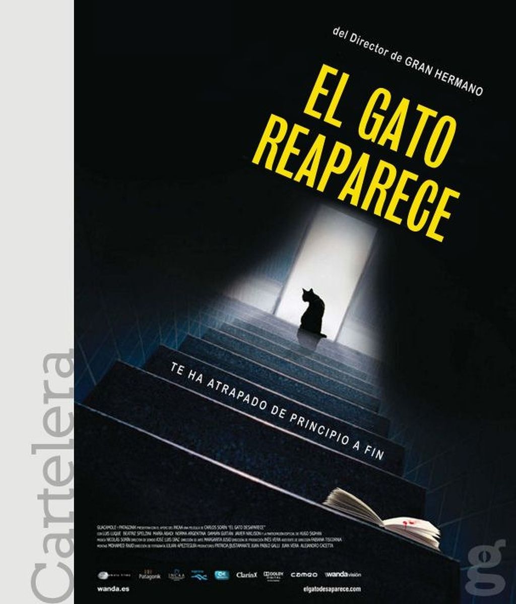El gato reaparece