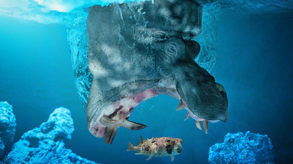 Maravillas del reino animal