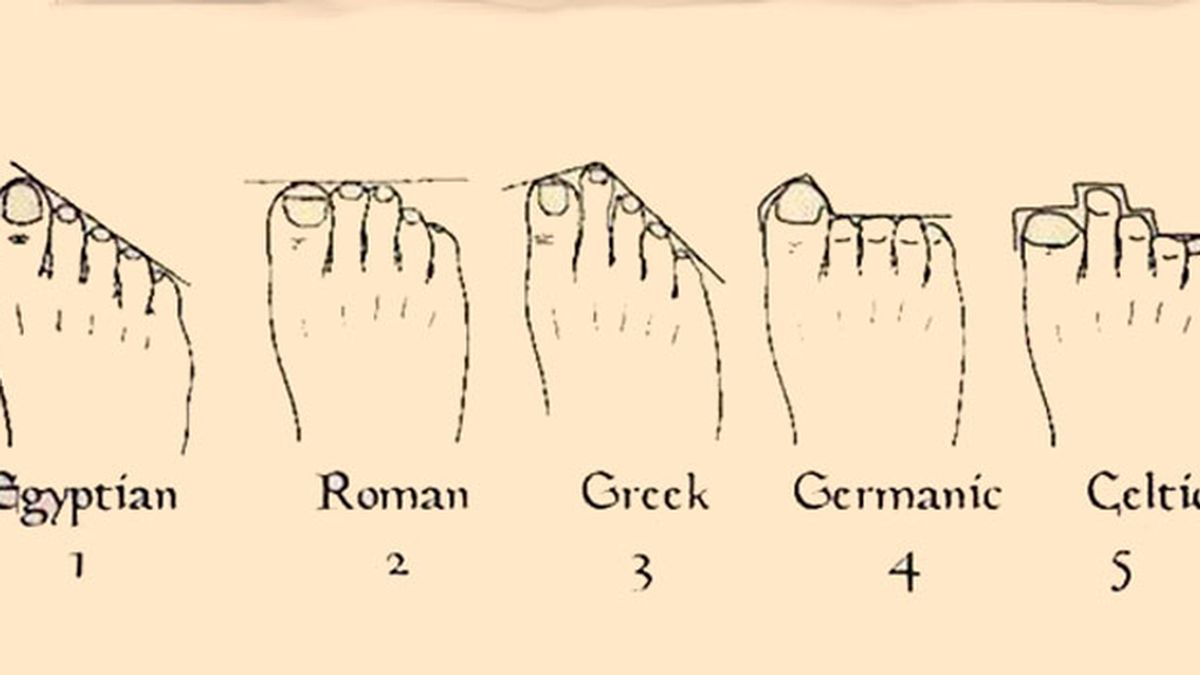 La forma de los pies