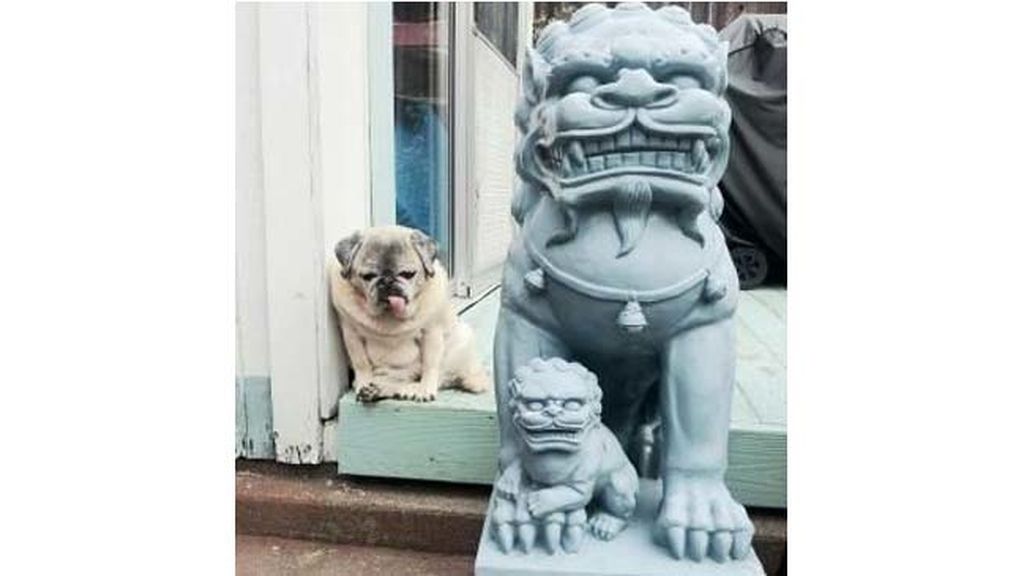 Miras y miras, pero nada es lo que parece