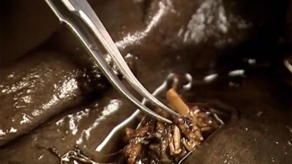 Las mejores imágenes del programa