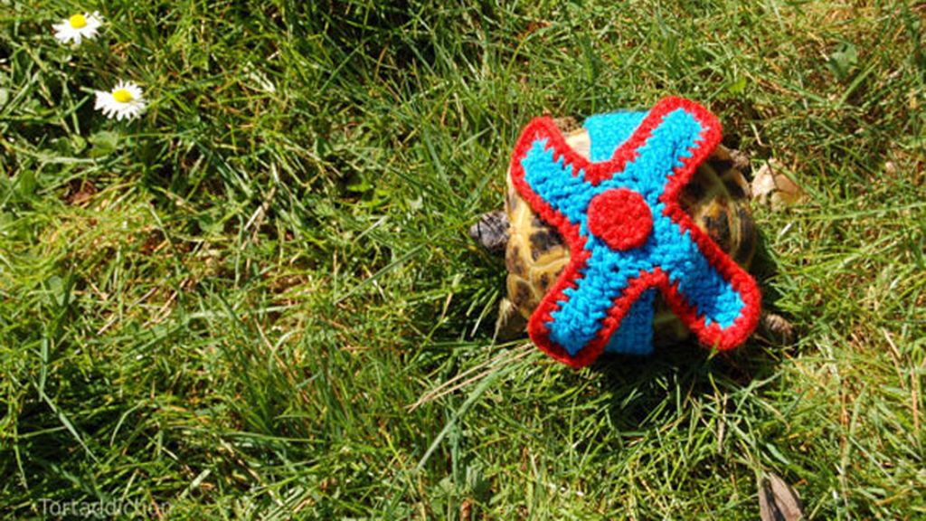 Las tortugas y sus trajes de ganchillo