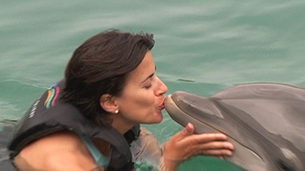 Una entrañable instántanea con un delfín como protagonista