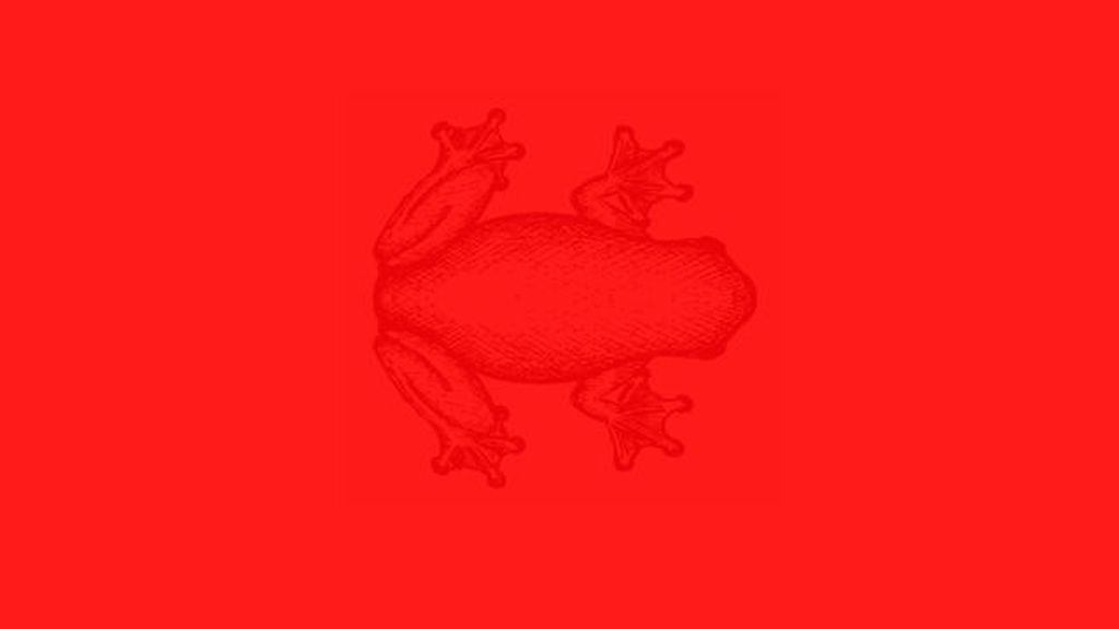 Unas imágenes de color con unas figuras escondidas