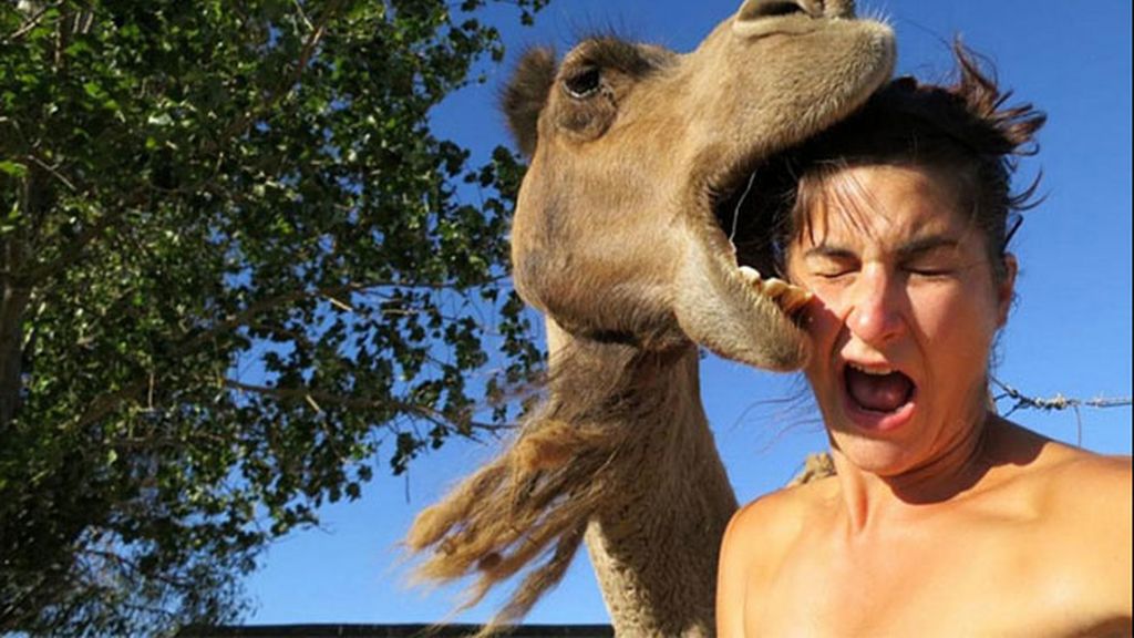 #Camelfies: la nueva moda 'selfie' de las redes sociales