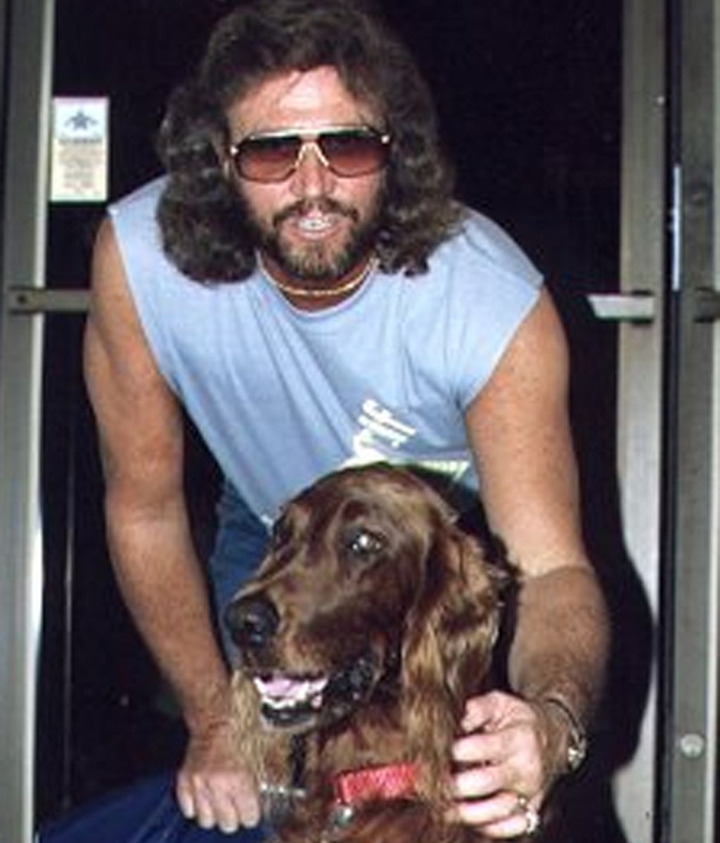 Homenaje al estilo de Robin y los Bee Gees: una vida de éxito y looks extremos