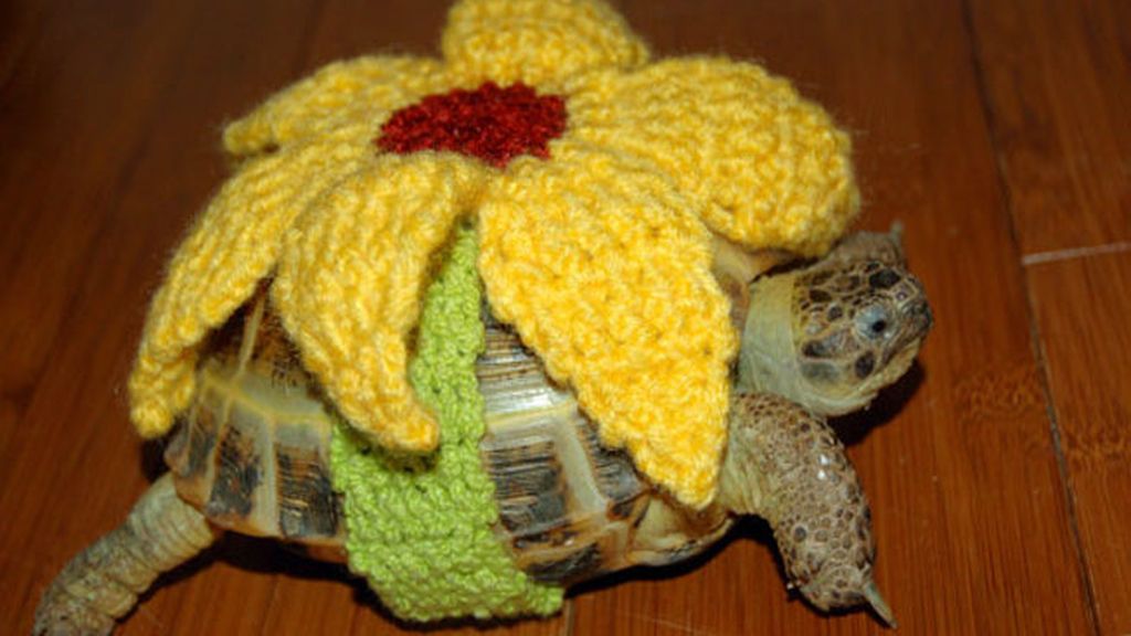 Las tortugas y sus trajes de ganchillo