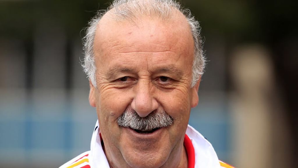 Del Bosque duda si continuar con Torres de titular Del Bosque duda si continuar con Torres de titular