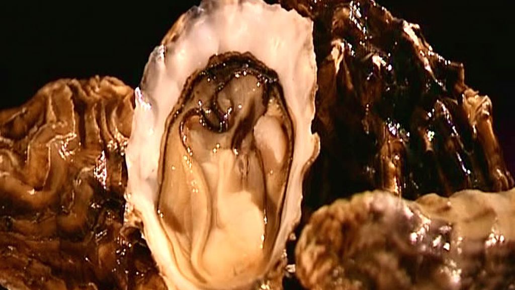 Las ostras se conocen también por su capacidad afrodisíaca