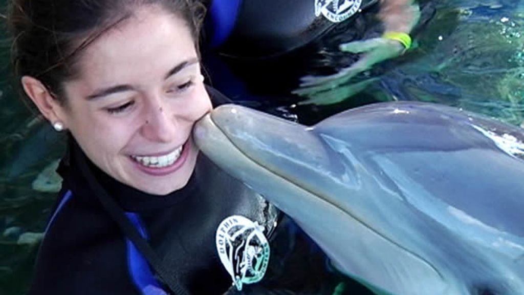 Encuentro con los delfines