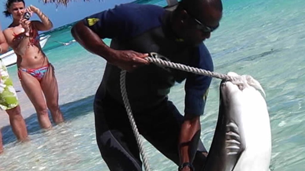 Captura de tiburón