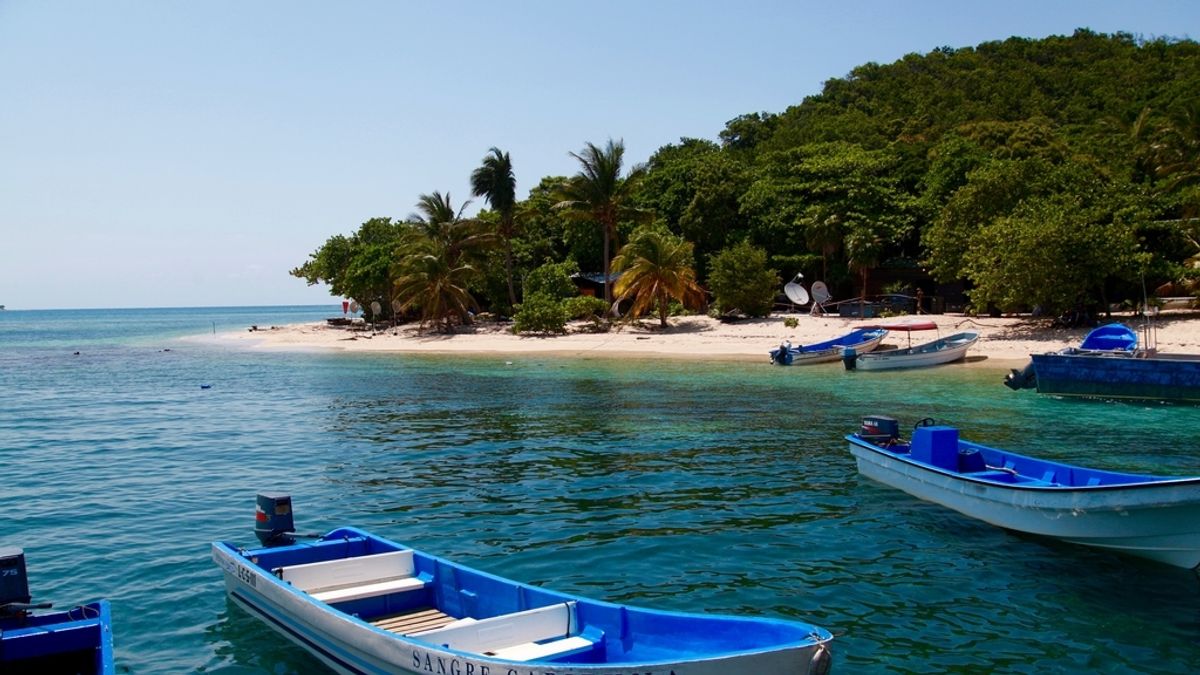 Intercambiador de Cayo Menor en Supervivientes