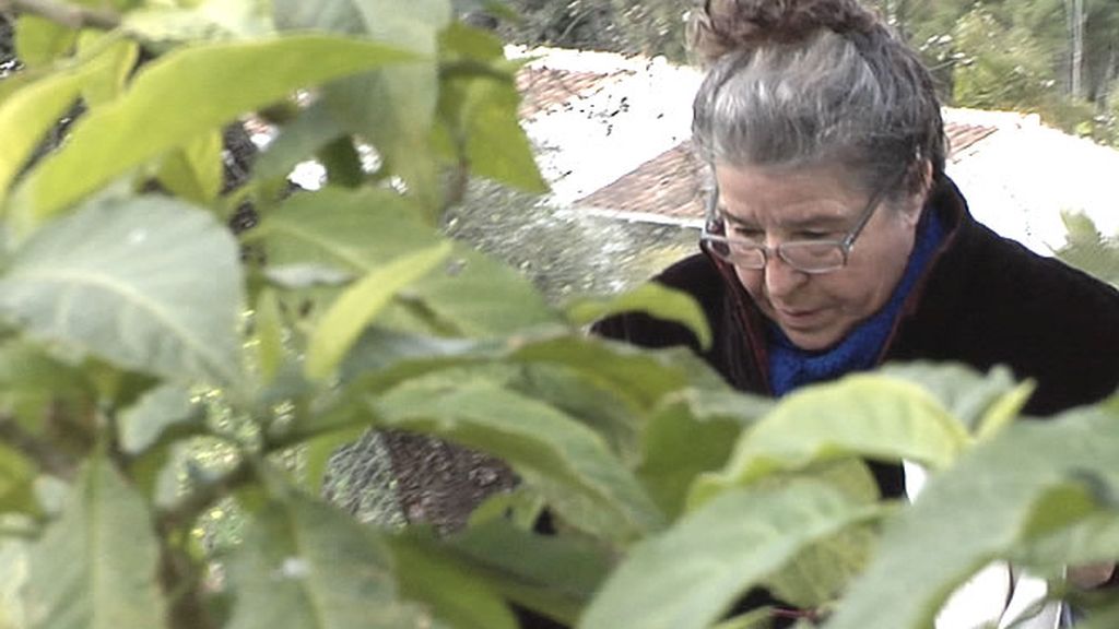 21 días fumando porros