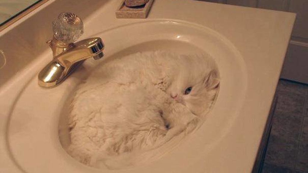 Cualquier lugar y momento es bueno para echar un sueño reparador