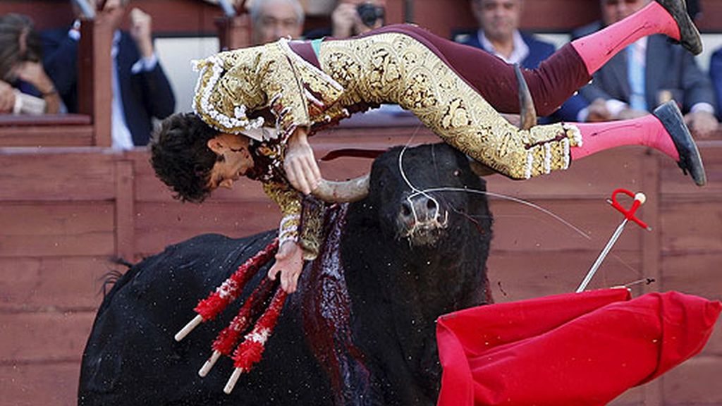 José Tomás, cogido en Las Ventas