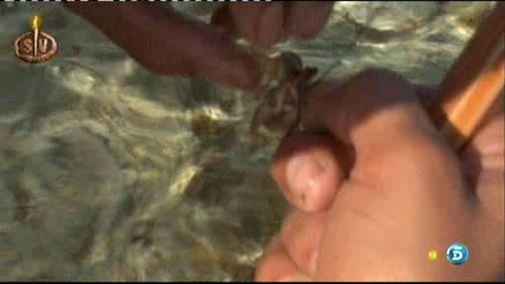 Vivi se ha comido el cebo de pescar